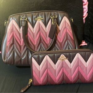 Coach Pink and Brown Chevron Satchel and Wallet
